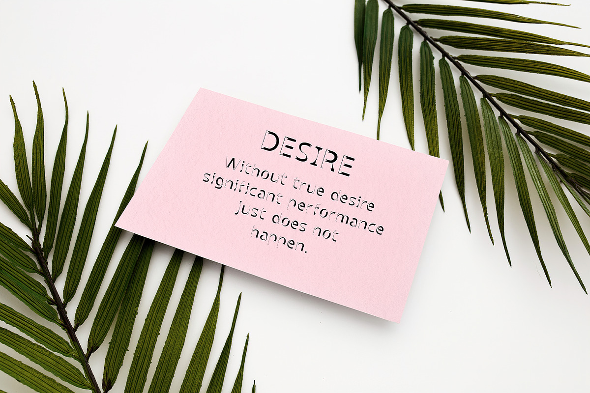 SCREDESK - serif font, a Sans Serif Font by CHIMERA (Photo 8 of 10)