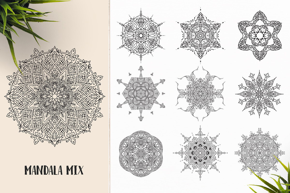 530 Vector Mandala Ornaments, an Animal Illustration by pixaroma (Photo 43 of 55)