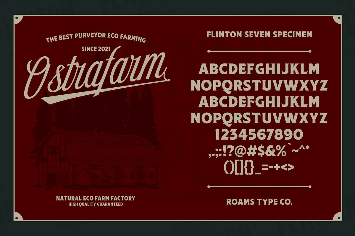 Flinton - Vintage Bundle Fonts, a Serif Font by Roams Type (Photo 9 of 14)