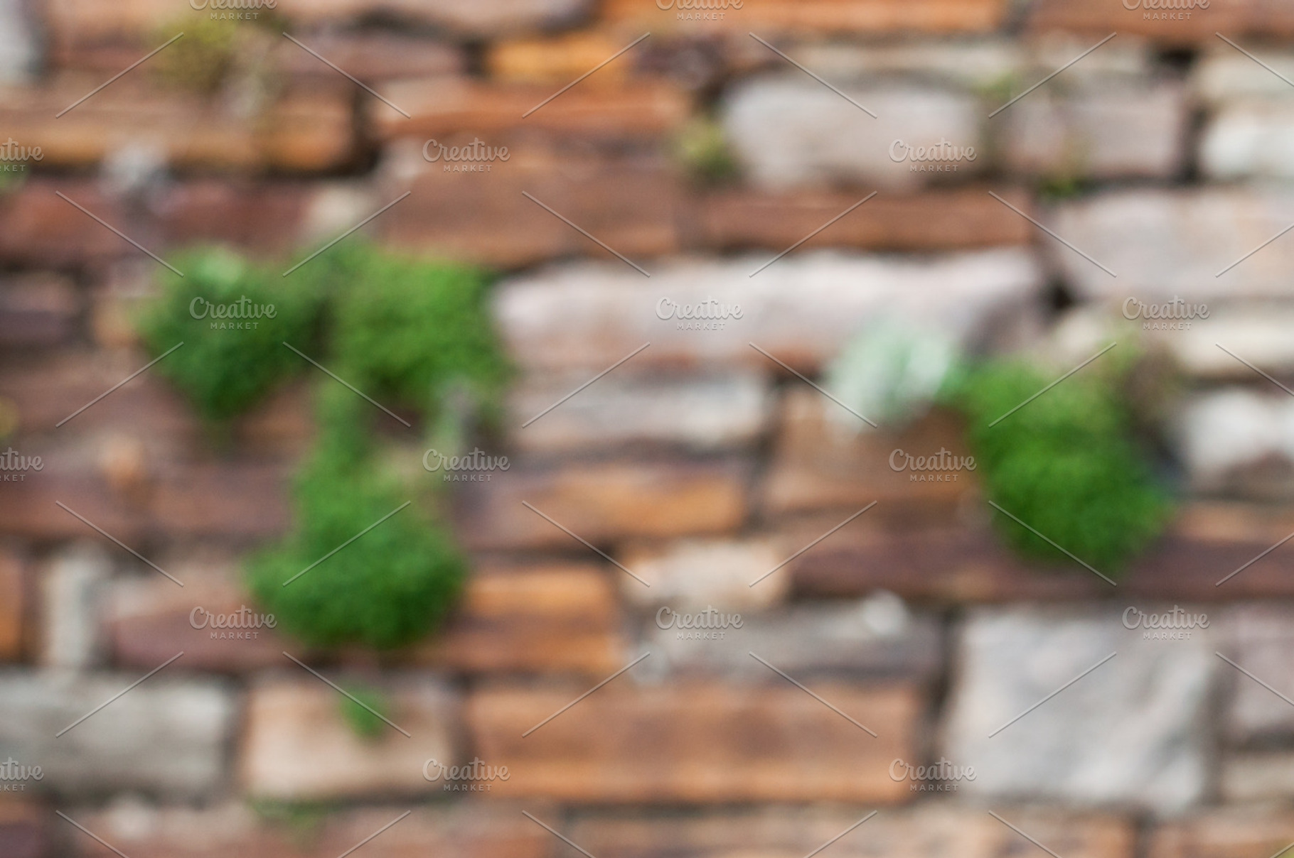 Living Backdrop