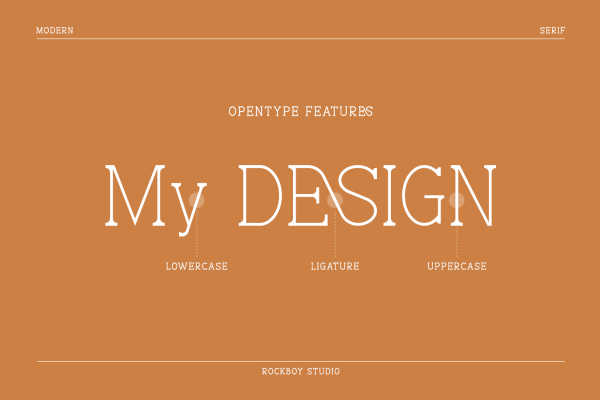 Blissful - Modern Stylish, a Serif Font by RockboyStd (Photo 7 of 12)