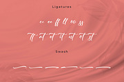 Rikamell Origami, a Script Font by Integritype Studio (Thumbnail 11 of 15)