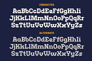 Chop Squad - Modern Serif Font, a Serif Font by MaikoHatta (Thumbnail 6 of 8)