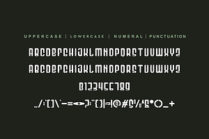 Roedak Ceoroj - Modern & Tall Font