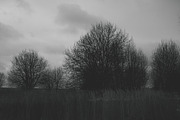 Mood collection, a Photo by Alekseyliss (Thumbnail 12 of 21)