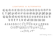 Peroba rosa - Modern Font Family, a Sans Serif Font by Yahya Type (Thumbnail 15 of 16)