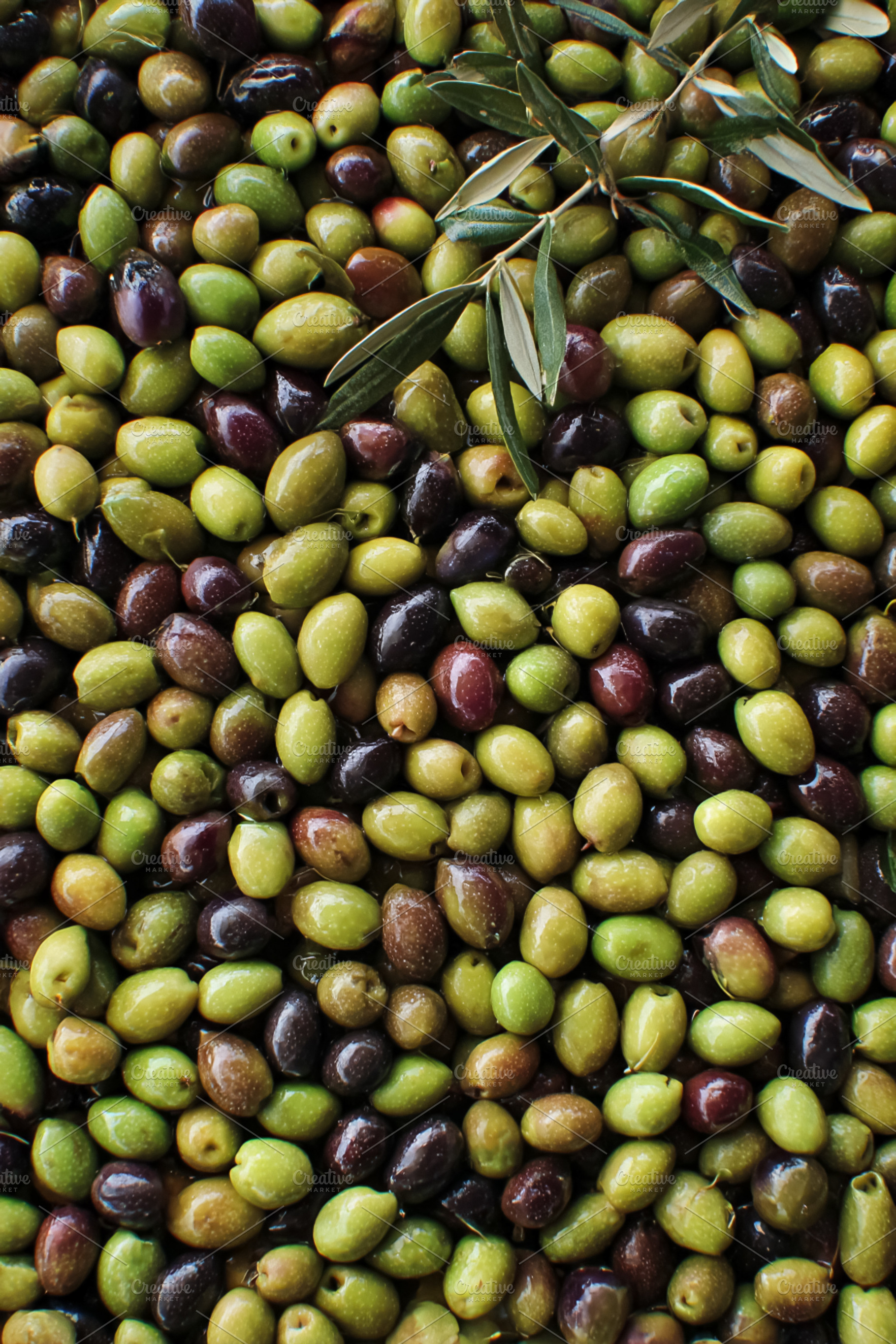 Mixed green, black, and purple olives with fresh olive branch, s, a Photo by Studio ANNA