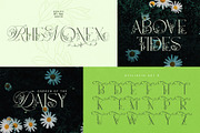 Narony Natural Typeface, a Sans Serif Font by alit design (Thumbnail 14 of 20)
