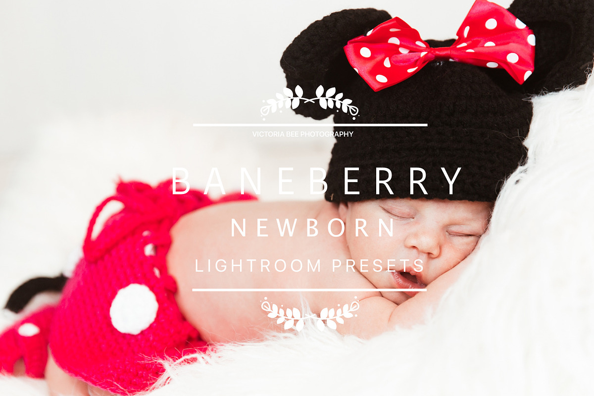 Desktop Lightroom Presets BANEBERRY preview 4