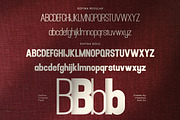 Sofina - Modern Sans Serif Font, a Sans Serif Font by Flawless And Co (Thumbnail 8 of 10)