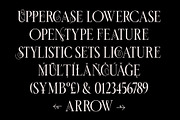 ED Manola - Unique Serif, a Serif Font by Emyself Design (Thumbnail 6 of 12)