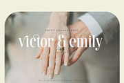 Mailvien - Modern Ligature Typeface, a Serif Font by BrandSemut (Thumbnail 9 of 10)
