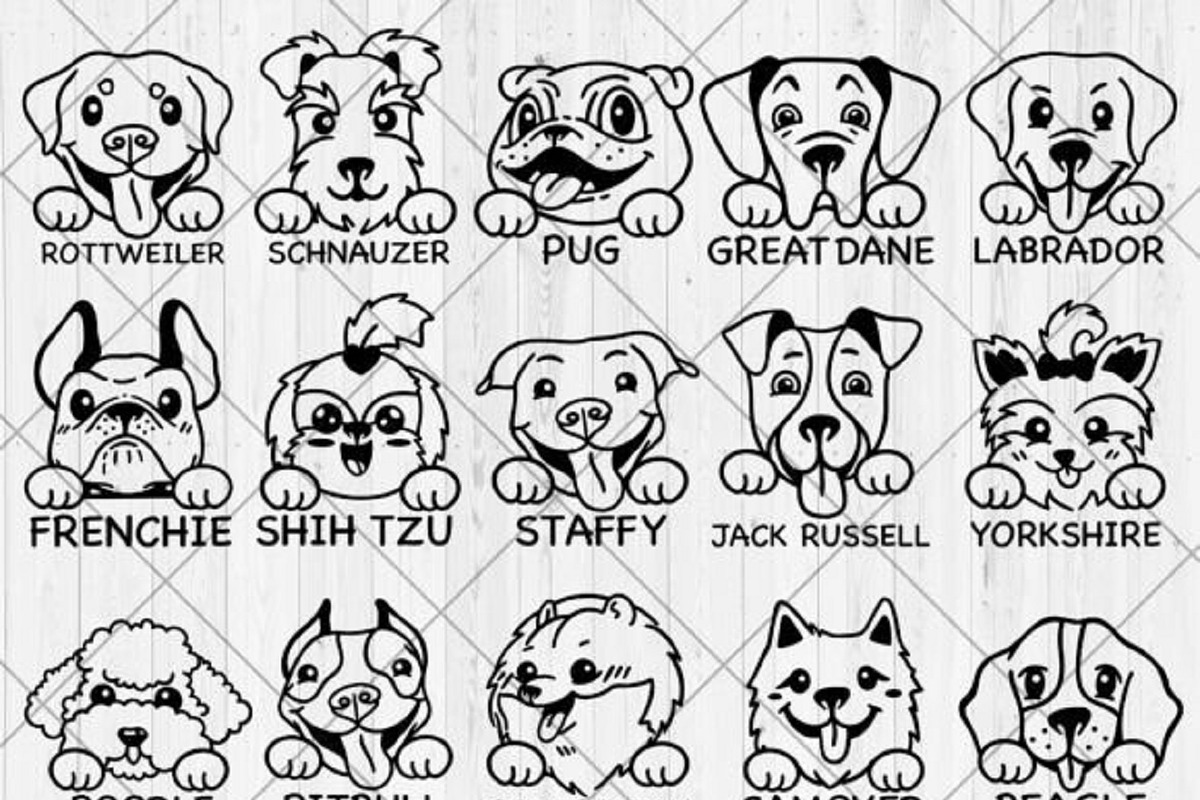 35 Dog 10 Cat Breed Bundle, a Templates & Theme by QualityGraphics (Photo 2 of 4)