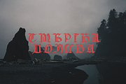 Groundage Gothic Blackletter, a Blackletter Font by Mofr 24 (Thumbnail 8 of 10)