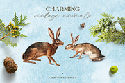 Magic Woodland vintage modern set, an Animal Illustration by Beauty Drops (Thumbnail 3 of 9)