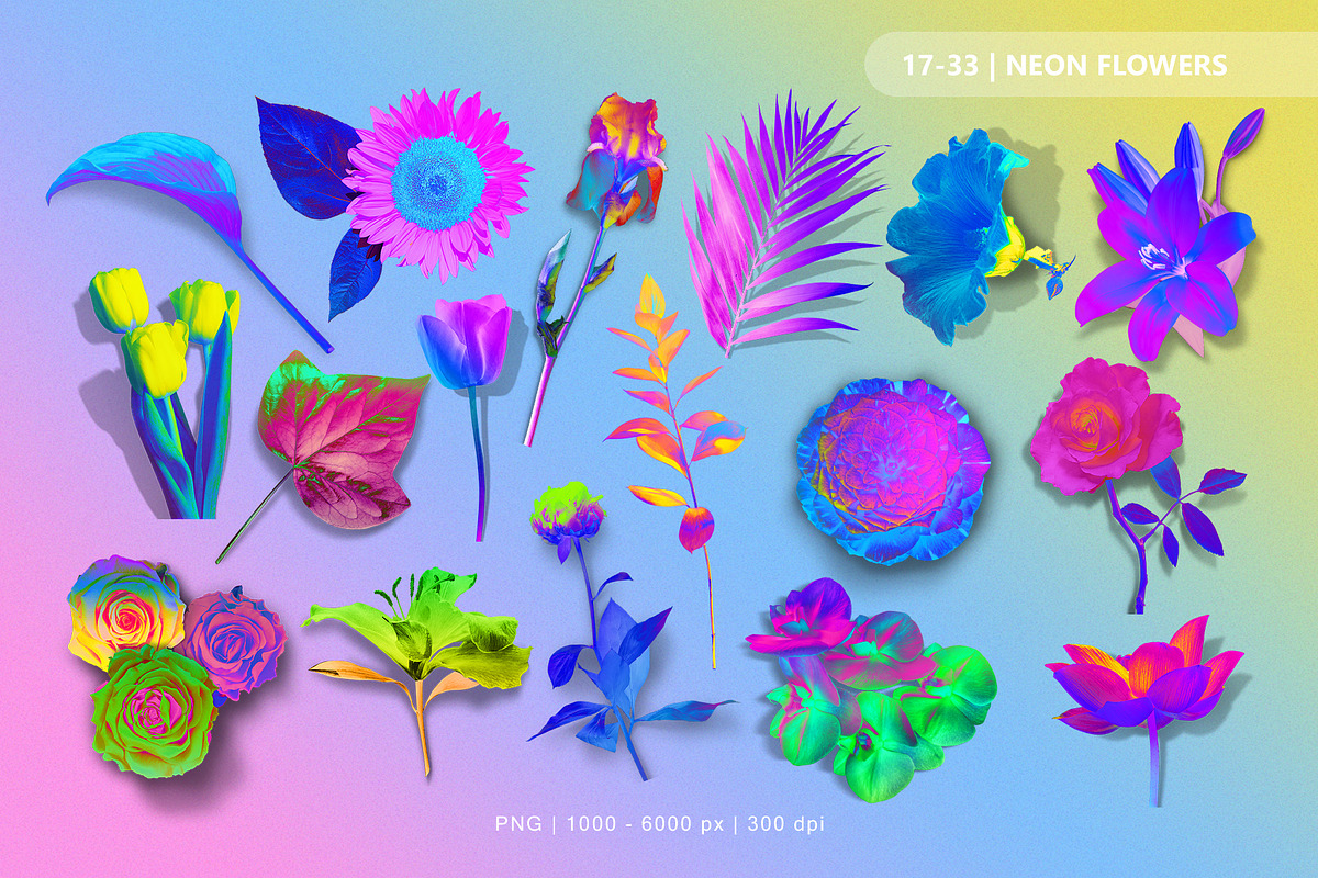 Acid Flowers Set, an Object Graphic by TiriCo (Photo 3 of 11)