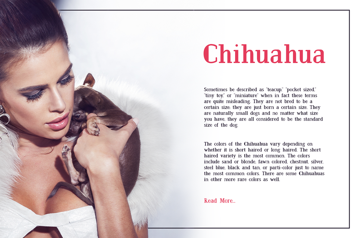 The Font Bundle preview 5