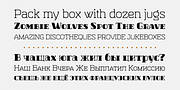 Hazelnut Pro, a Serif Font by Eimantas Paskonis (Thumbnail 3 of 5)