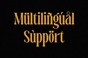 Dreavolt A Serif Display Font, a Serif Font by Storytype Studio (Thumbnail 11 of 15)