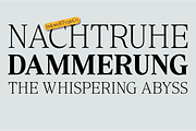 Rosemeri — MODERN EDITORIAL SERIF, a Serif Font by InkwellTypeCo (Thumbnail 10 of 19)