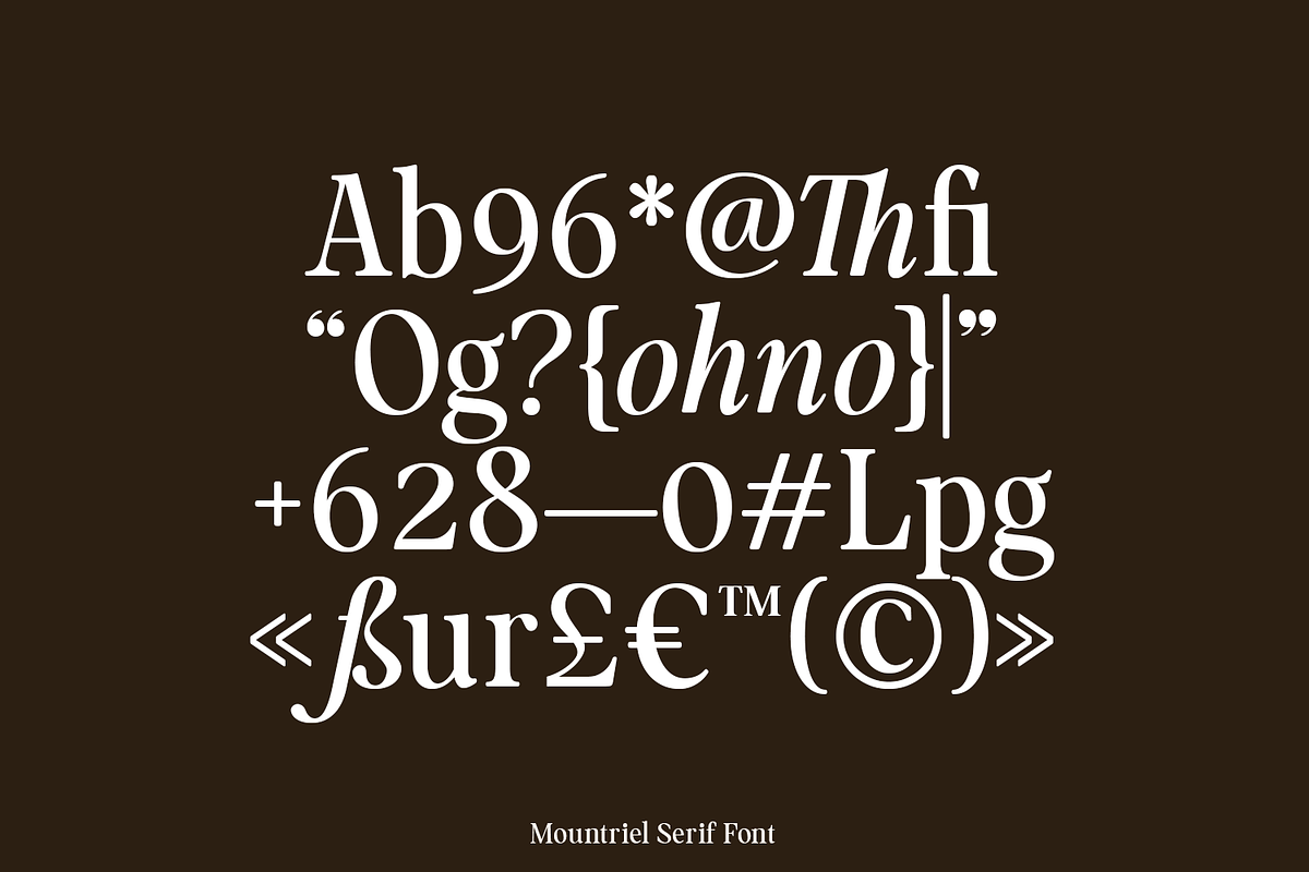 Mountriel - Classic Modern Serif, a Serif Font by Typetemp Studio (Photo 6 of 22)