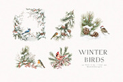 Winter Birds, an Animal Illustration by PeDe Designs (Thumbnail 6 of 6)
