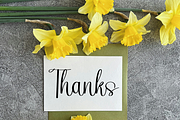 Beautiful Teacher, a Handwritten Font by InermediaSTUDIO (Thumbnail 8 of 8)