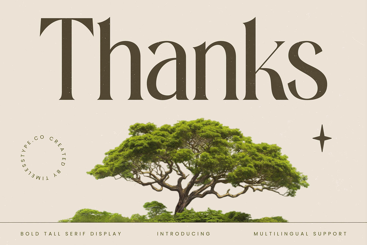 Eternalo Bold Luxury Modern Serif, a Serif Font by timelesstype.co (Photo 20 of 20)