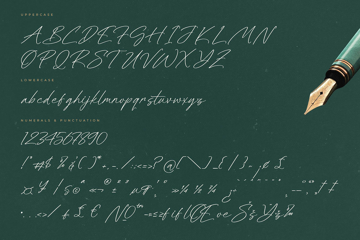 Dignity Justice Modern Script Font, a Script Font by Letterena Studios Script (Photo 13 of 15)