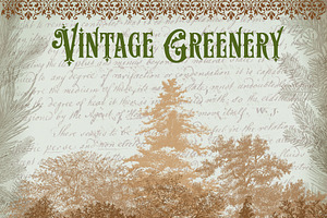 37 Vintage Greenery And Tree Clipart