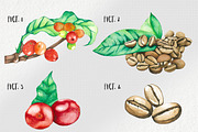 Watercolor Coffee Bean, a Food Illustration by andypray (Thumbnail 2 of 4)