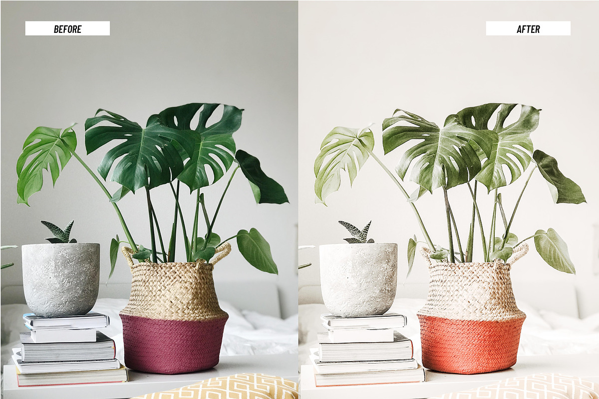 Lightroom Presets Light and Airy, an Action Add-On by Best Lightroom Presets (Photo 11 of 13)