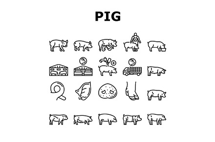 pork pig farm animal piglet hog, an Animal Illustration by pikepicture