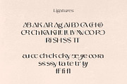 Mango Style - Modern Branding Font, a Font by creativemedialab (Thumbnail 5 of 14)