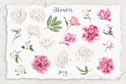 Watercolor flowers Peonies clipart, an Illustration by Yuliya Art (Thumbnail 12 of 18)