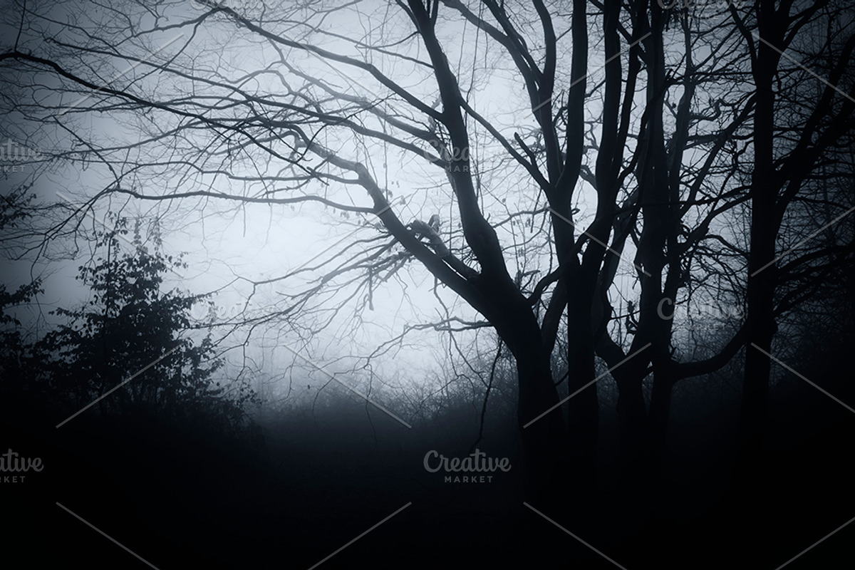 Halloween Forest pack 2018 Hi Res, a Nature Photo by Atmospheric visuals (Photo 2 of 11)