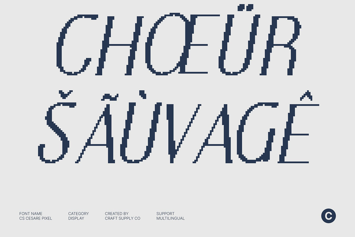 CS Cesare Pixel, a Sans Serif Font by Craft Supply Co. (Photo 5 of 8)