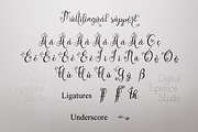 Gloryta, a Script Font by Digital Typeface Studio (Thumbnail 4 of 7)