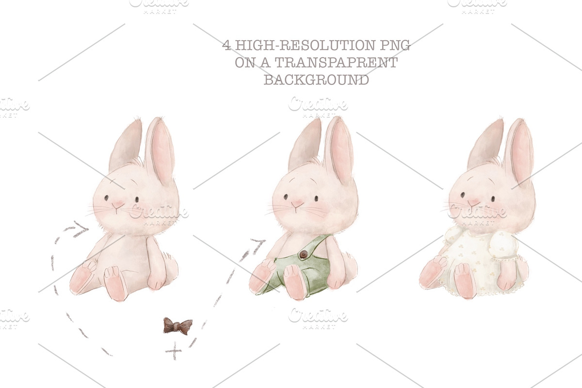 Cute Bunny. Clipart Watercolor, an Animal Illustration by sheincar (Photo 2 of 4)
