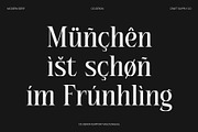 CS Deron – Modern Serif Font, a Serif Font by Craft Supply Co. (Thumbnail 7 of 8)