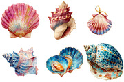 Coastal Seashell  Clipart, an Illustration by Watercolor design (Thumbnail 4 of 4)