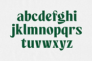 Gallile - Display Serif Font, a Serif Font by Haps Space (Thumbnail 5 of 13)