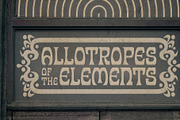 Allotropic | Expressive Retro Family, a Font by The Flying Type (Thumbnail 8 of 12)