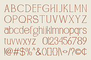 CAROVERA - Display Luxury Serif Font, a Serif Font by Indotype Foundry (Thumbnail 4 of 10)