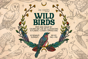 Wild Birds, an Animal Illustration by Ink Stories