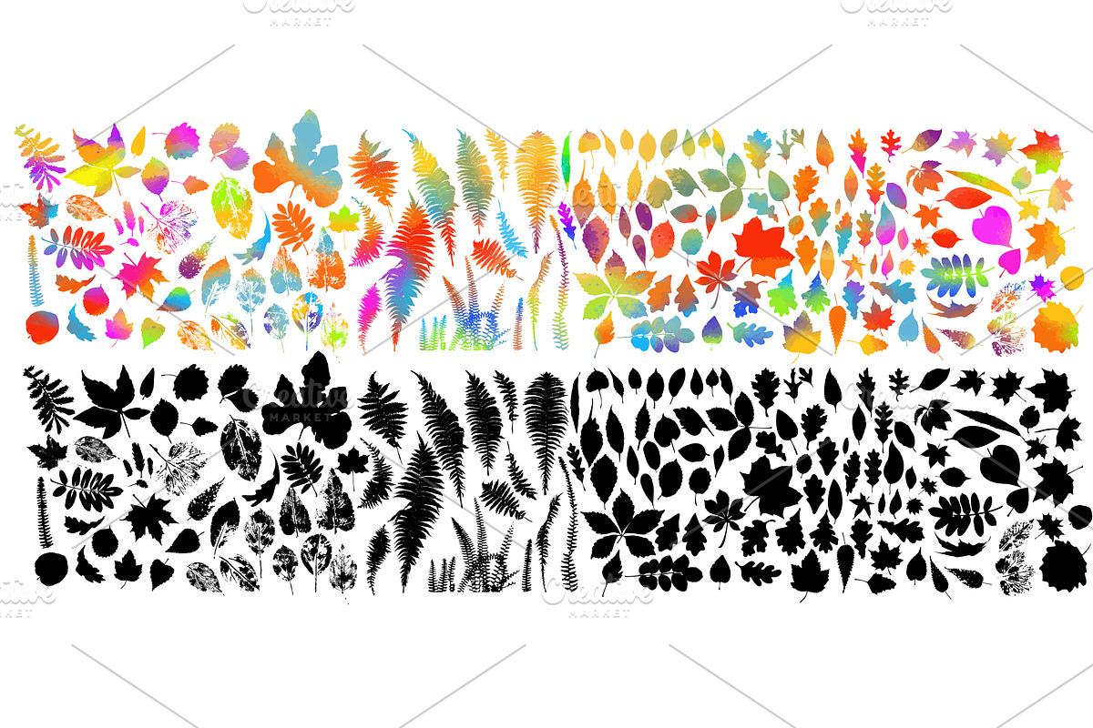 Set of colored and black leaves of, an Object Illustration by Nenahliadava Design