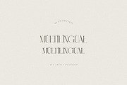 Caroline Luxury Serif, a Serif Font by Cruzine (Thumbnail 10 of 10)