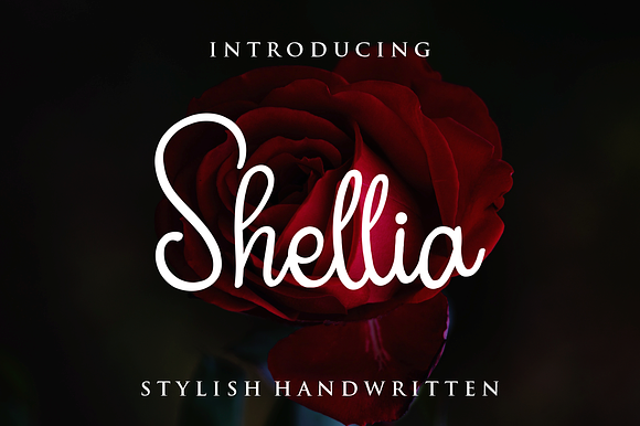Shellia preview 7
