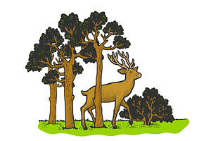 Deer In The Forest Sketch Vector