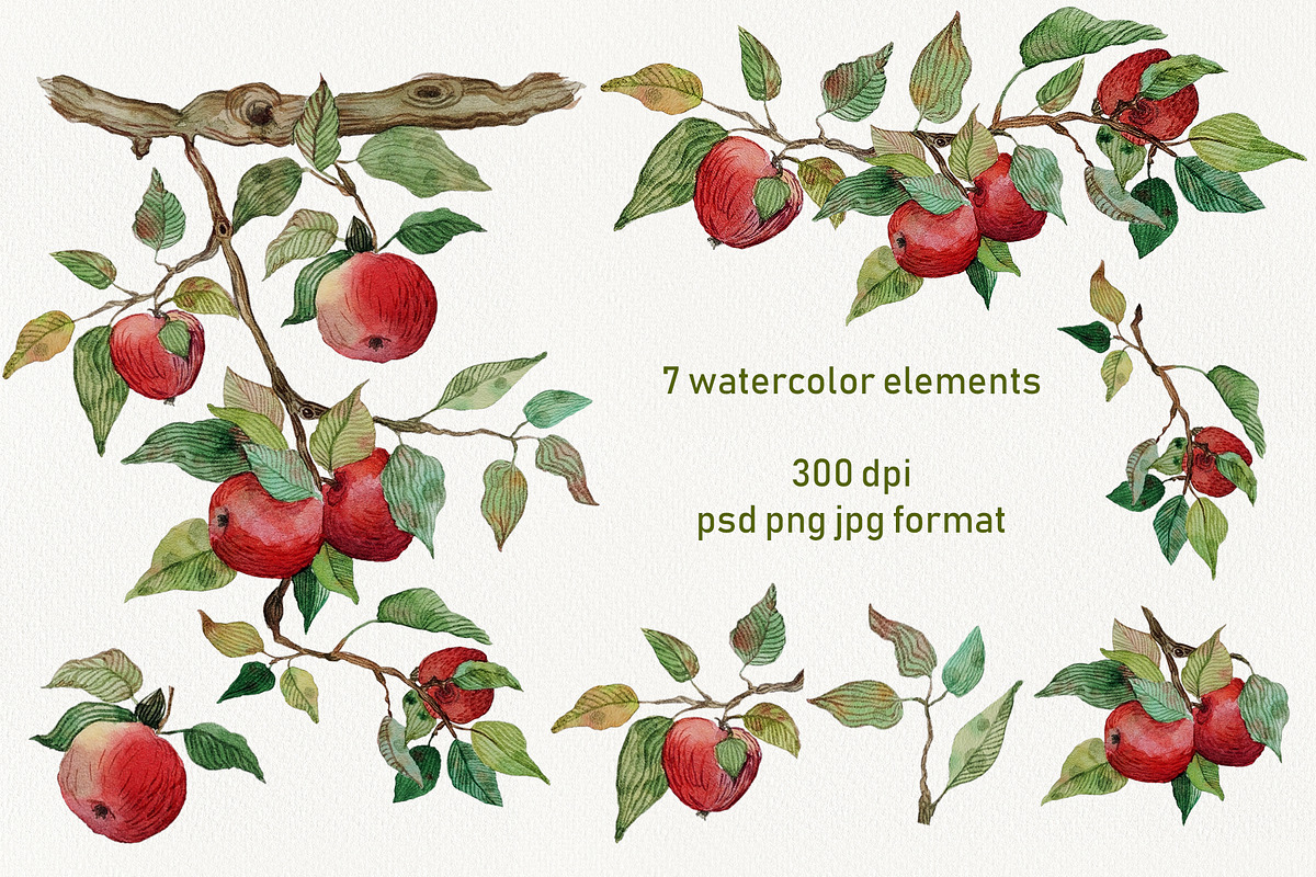 Watercolor red apple brunch clipart, an Illustration by Dina Guiter (Photo 2 of 12)
